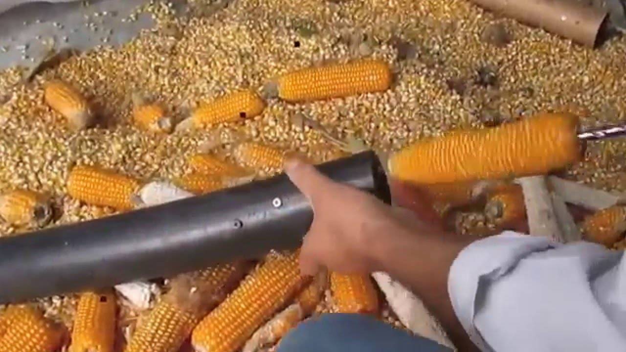 Старуха с целлюлитной жопой в кукурузе устроила мастурбацию фаллосом онлайн