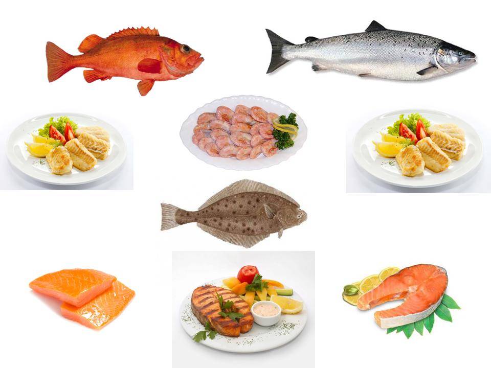 Какую Рыбу Едят При Правильном Питании