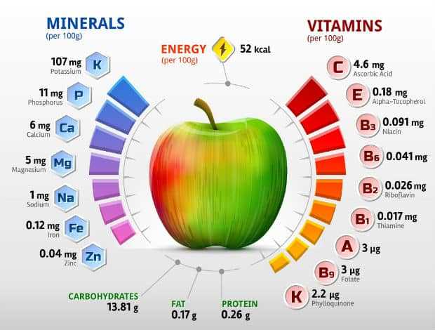 Грибы портобелло — химический состав, пищевая ценность, БЖУ, калорийность, витамины, аминокислотный состав, минеральный состав