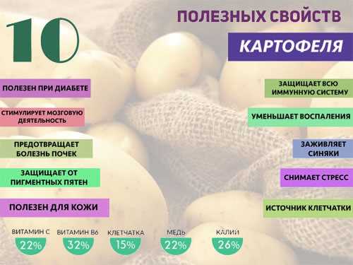 Картофель варёный в мундире — химический состав, пищевая ценность, БЖУ, калорийность, витамины, аминокислотный состав, минеральный состав