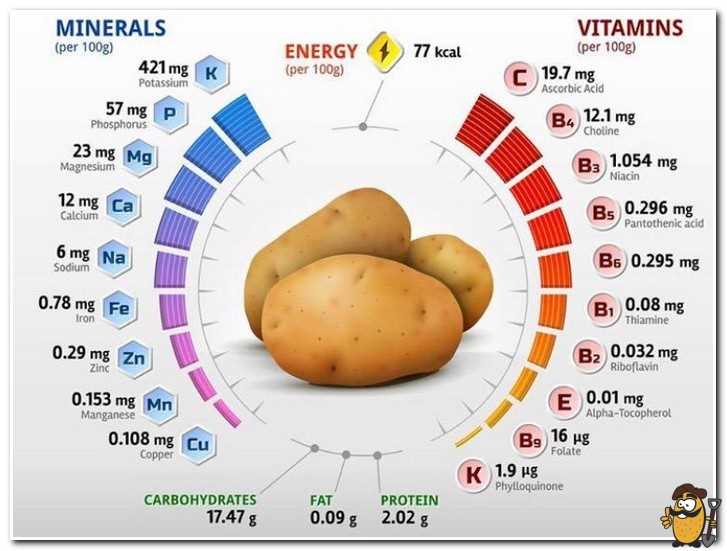 Картофель запечённый: витамины