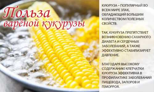 Кукуруза консервированная — химический состав, пищевая ценность, БЖУ, калорийность, витамины, аминокислотный состав, минеральный состав