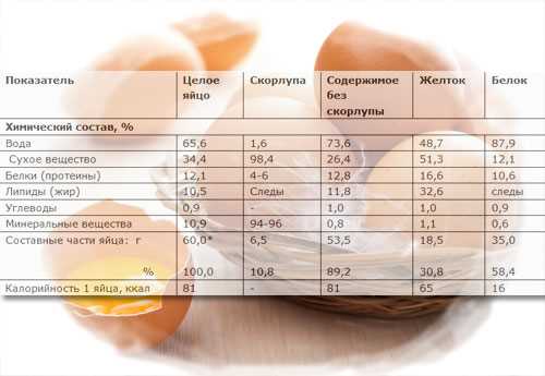 Куриная грудка — химический состав, пищевая ценность, БЖУ, калорийность, витамины, аминокислотный состав, минеральный состав