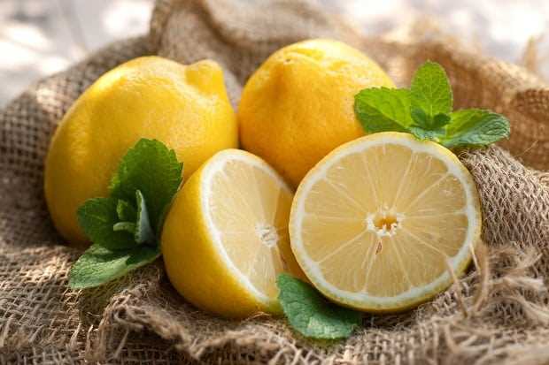 Лимон: аминокислотный состав и его значение для организма