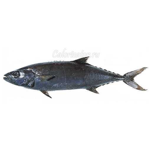 Масляная рыба (эсколар) — химический состав, пищевая ценность, БЖУ, калорийность, витамины, аминокислотный состав, минеральный состав