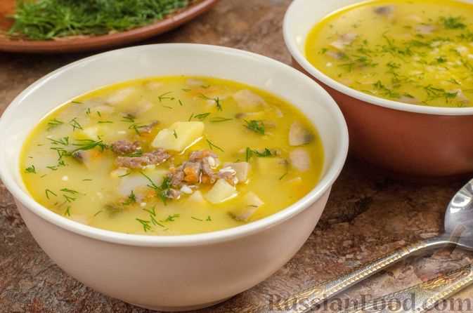 Сырный суп с говядиной и капустой