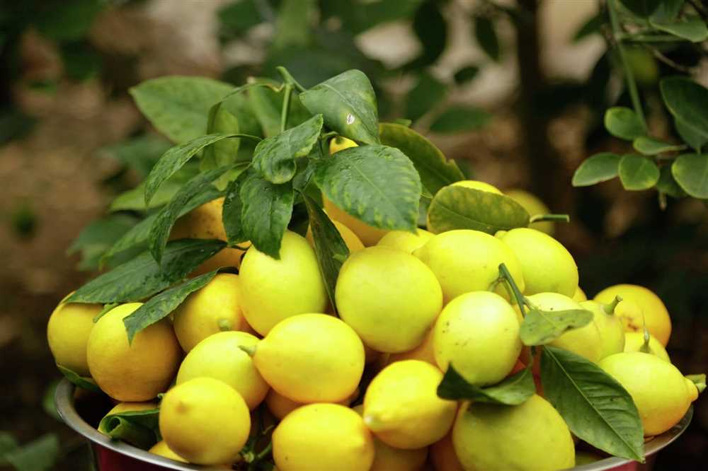 Состав цедры лимона