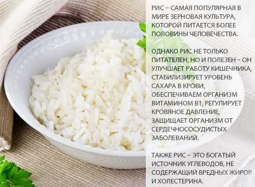 Воздушный рис — химический состав, пищевая ценность, БЖУ, калорийность, витамины, аминокислотный состав, минеральный состав