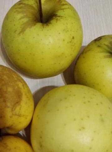 Состав зелёных яблок (Гренни Смит)