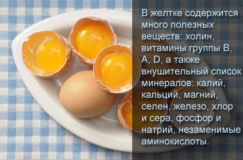Яйцо куриное жареное — состав и пищевая ценность, калорийность, витамины, минералы и аминокислоты