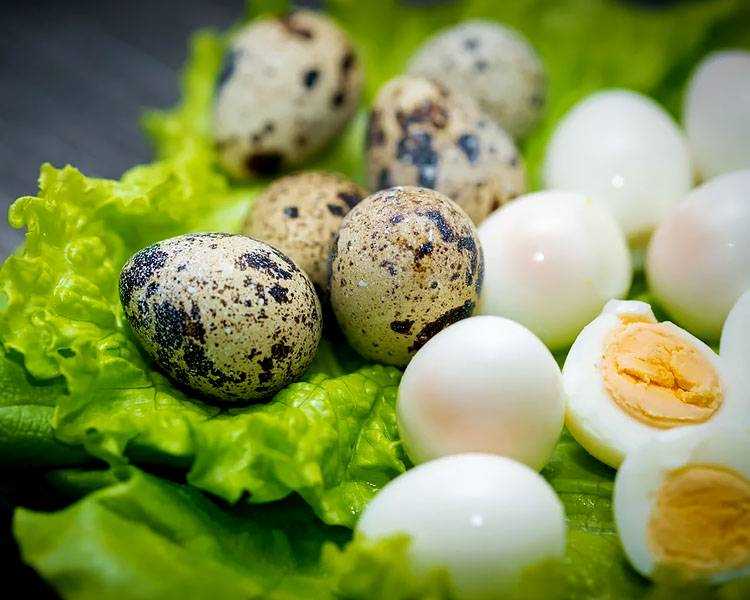 Витамины в яйце перепелином
