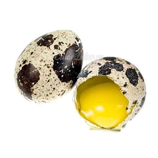 Яйцо перепелиное — состав и пищевая ценность, калорийность, витамины, минералы и аминокислоты