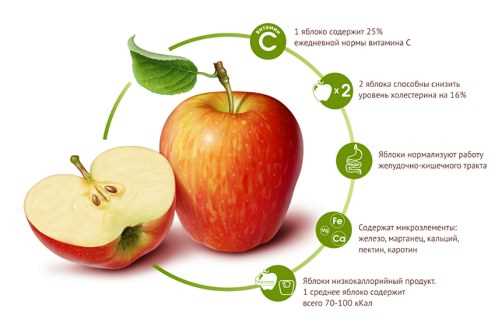 Яванское яблоко — состав и пищевая ценность, калорийность, витамины, минералы и аминокислоты