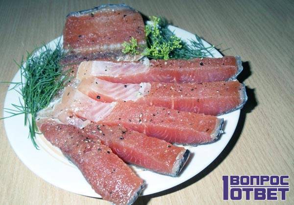 Кижуч: польза, свойства, вред, калорийность. как приготовить рыбу кижуч