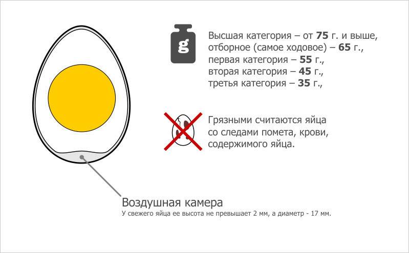 Как проверить яйца на свежесть в домашних условиях - популярные народные способы
