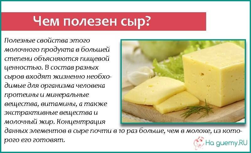 Сыр пармезан. калорийность и польза сыра пармезан