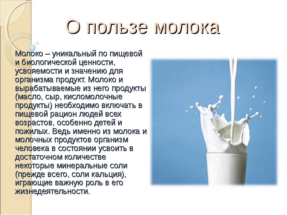 Молоко польза и вред для организма взрослого