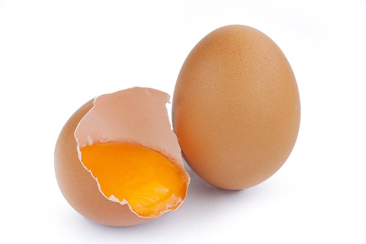 Куриные яйца. их влияние на организм человека