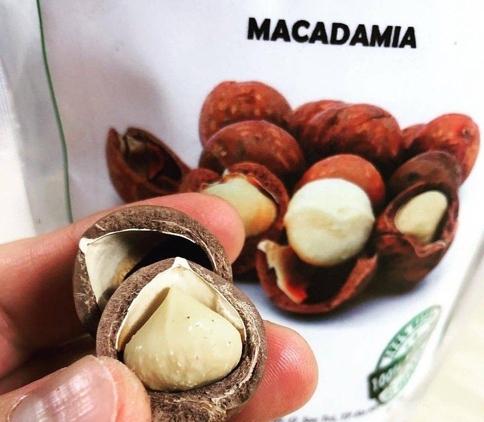Орех макадамия – чем полезен и вреден для женщин? химический состав, рецепты и рекомендации