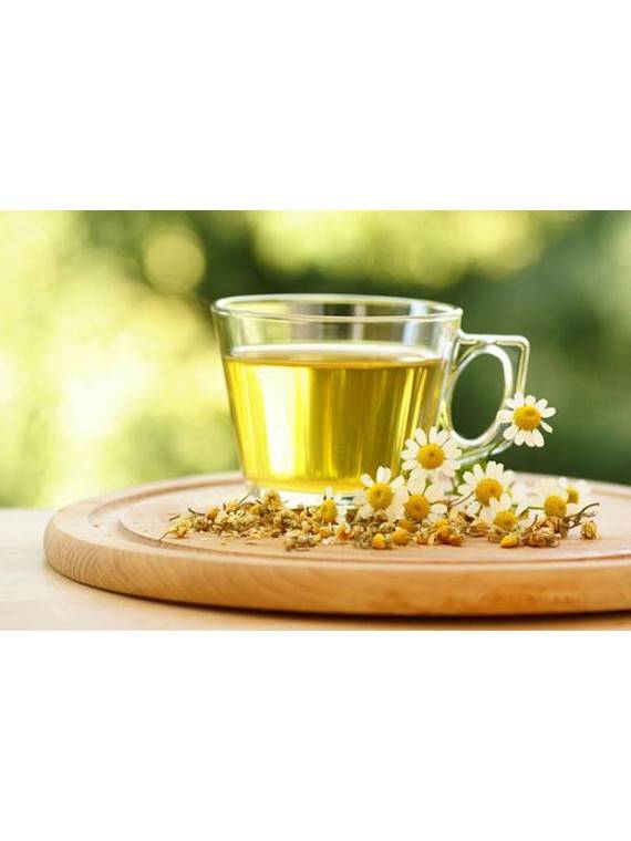 Чай с ромашкой: польза и вред для организма