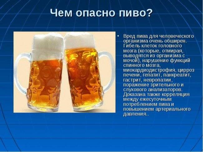Польза и вред пива для здоровья