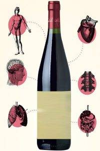 Польза и вред красного вина для человека