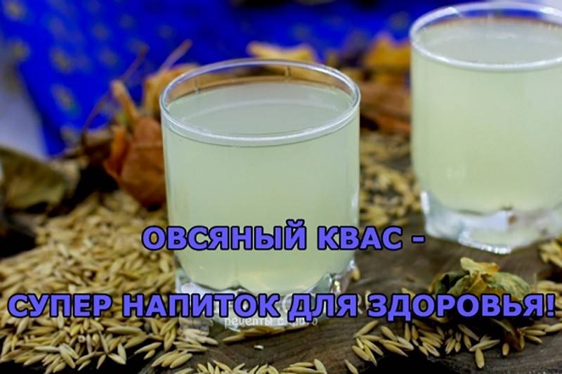 Квас из овса – польза и вред исконно русского напитка