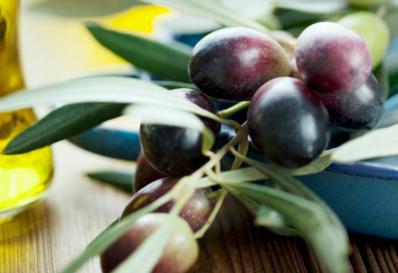 Маслины и черные оливки: польза и вред для организма