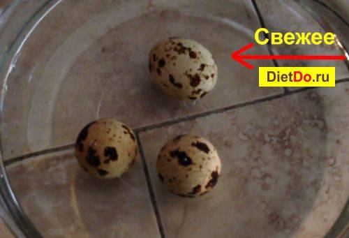 Как проверить яйца на свежесть в домашних условиях - популярные народные способы