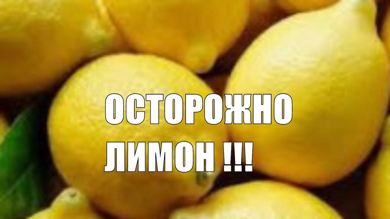 Польза и вред лимона для здоровья организма