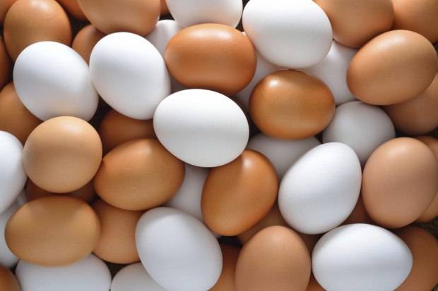 Чем отличаются белые куриные яйца от коричневых и какие лучше покупать