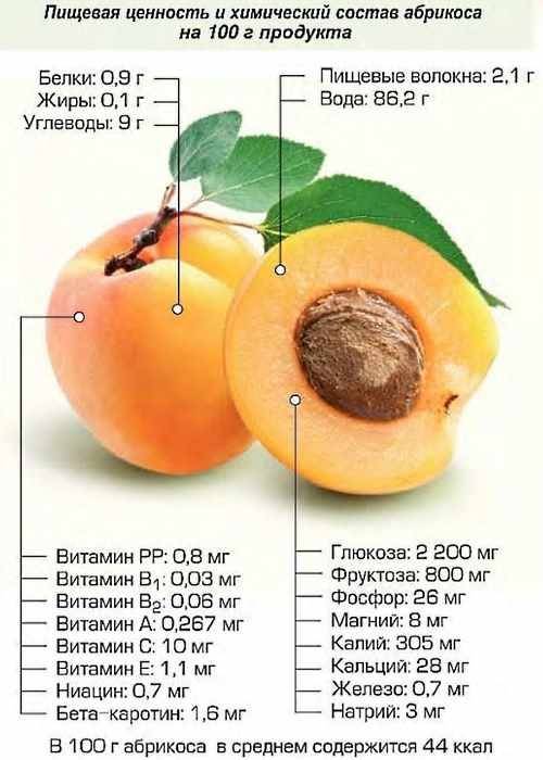 Чем полезны персики для организма, свойства и противопоказания