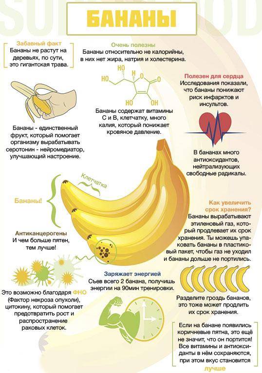 Грудное вскармливание и бананы: полезные свойства, особенности употребления и влияние на лактацию