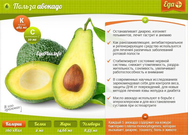 Авокадо: польза и вред в питании человека.