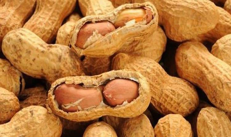 Орех арахис, польза и вред для организма человека
