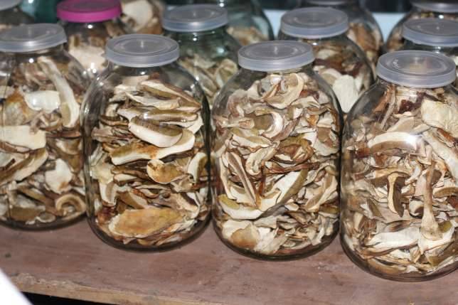 Как правильно хранить сушёные грибы