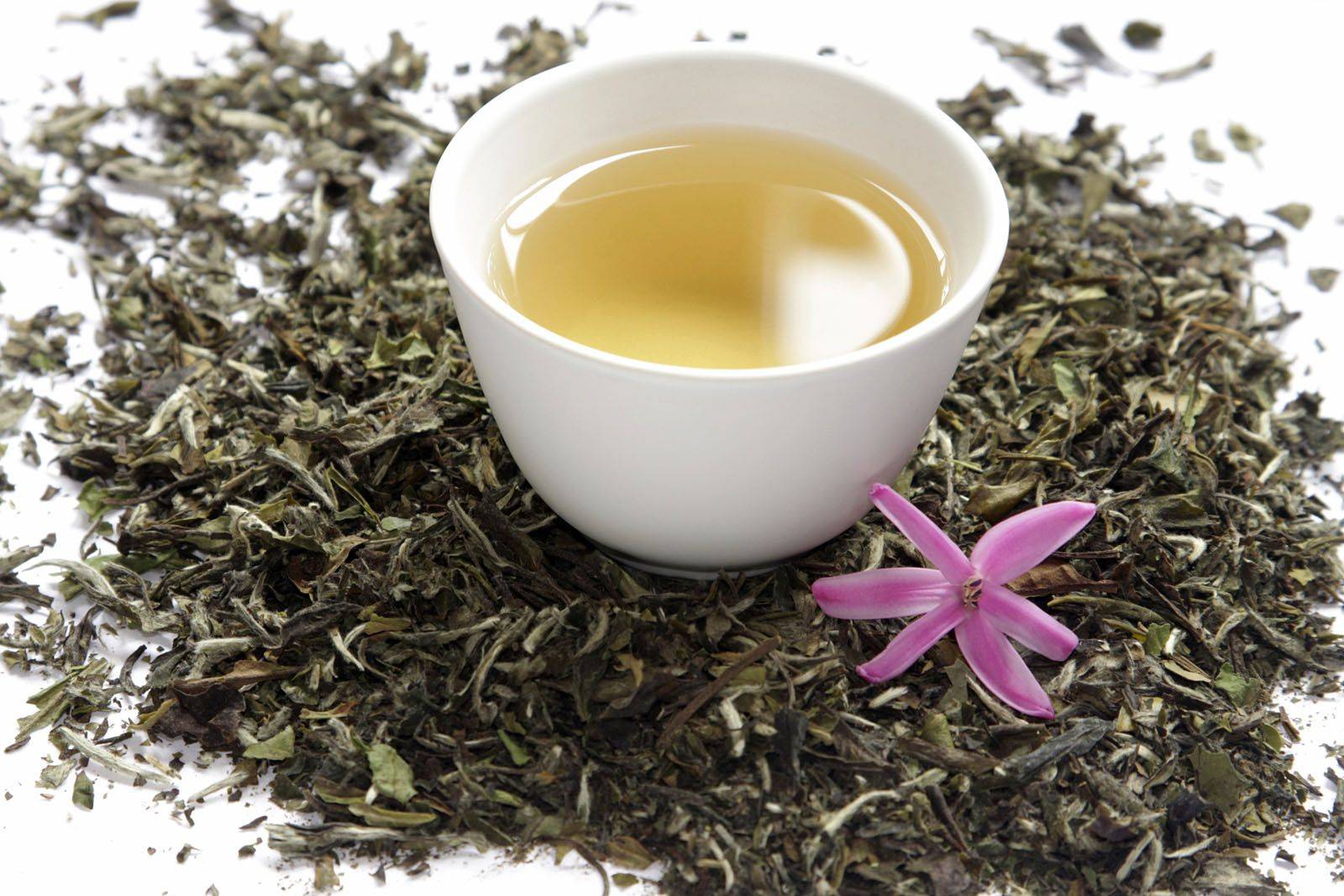 Китайский белый чай, польза и вред