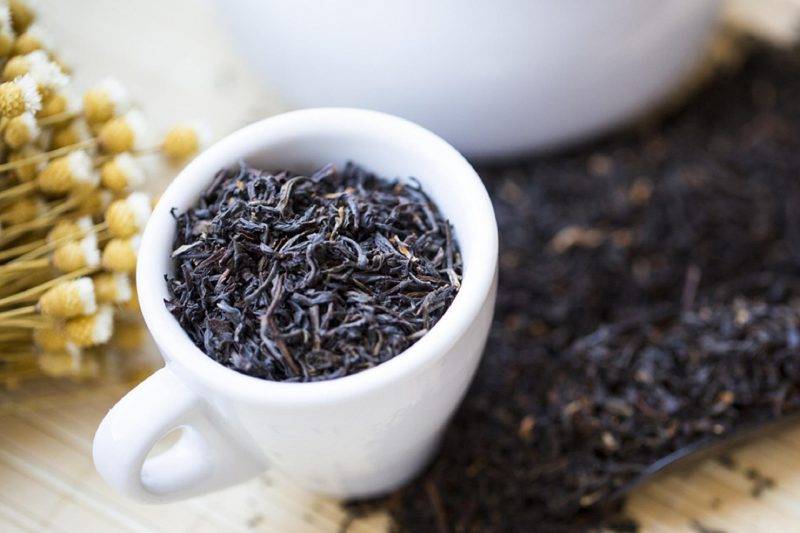 Польза и вред чая с бергамотом