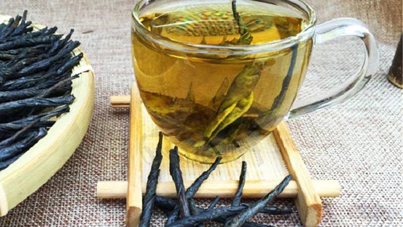 Кудин чай: полезные свойства, противопоказания, польза и вред