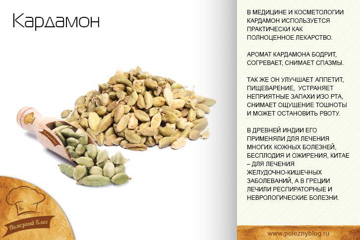 Полезные свойства и противопоказания кардамона, применение в кулинарии