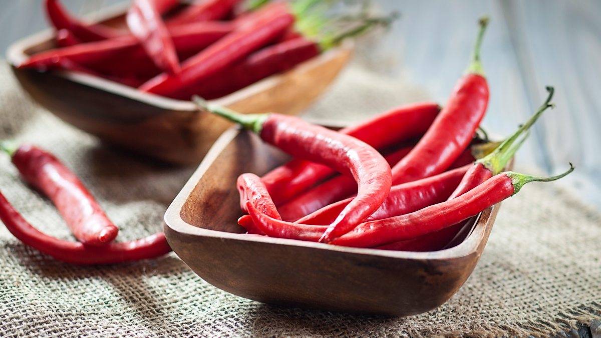 В чем польза и вред красного стручкового перца: состав плодов и противопоказания к употреблению в пищу