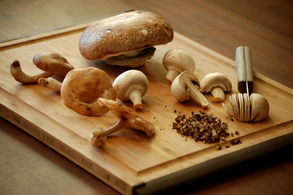 Польза и вред белых грибов для организма человека