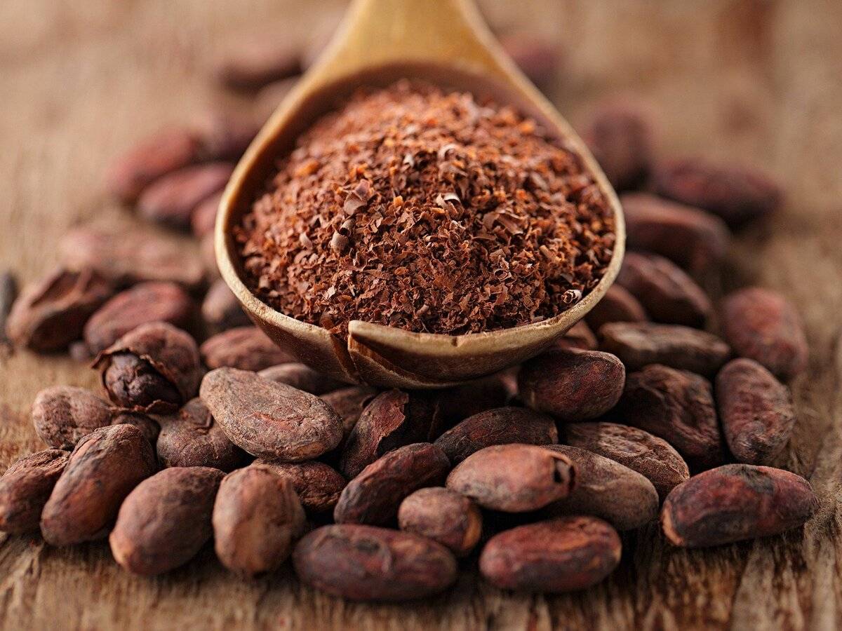 Какао-бобы: панацея с легкой горчинкой