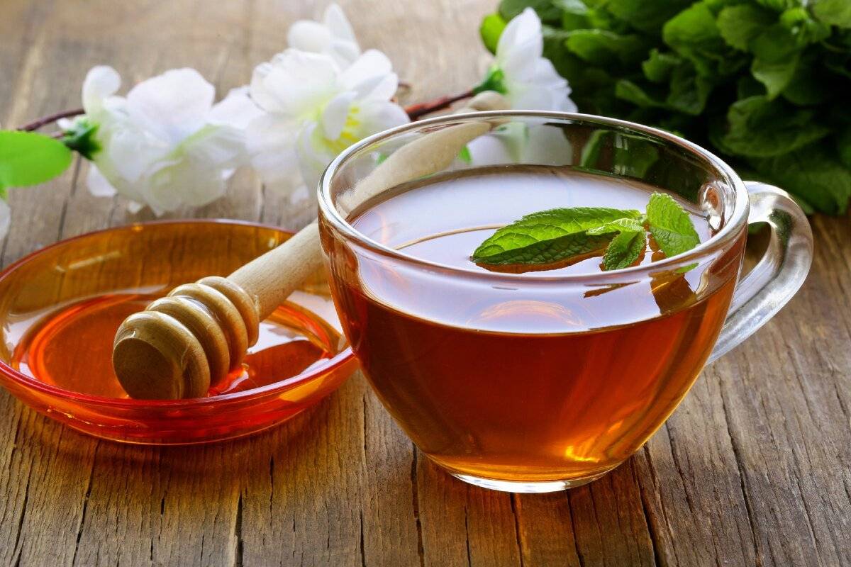 Польза и вред чая с медом