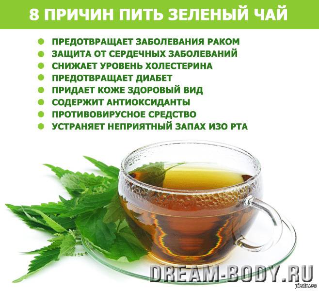 Польза зеленого чая: причины пить его ежедневно