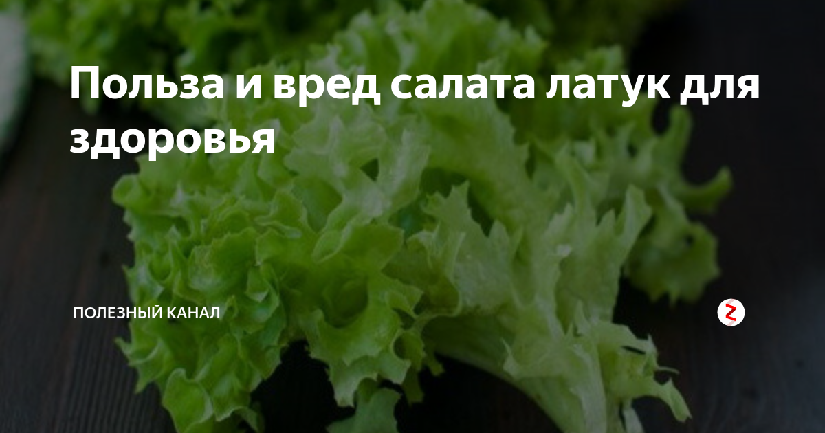 Огородный салат, польза и вред