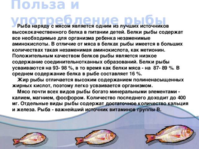 Рыба сом польза и вред