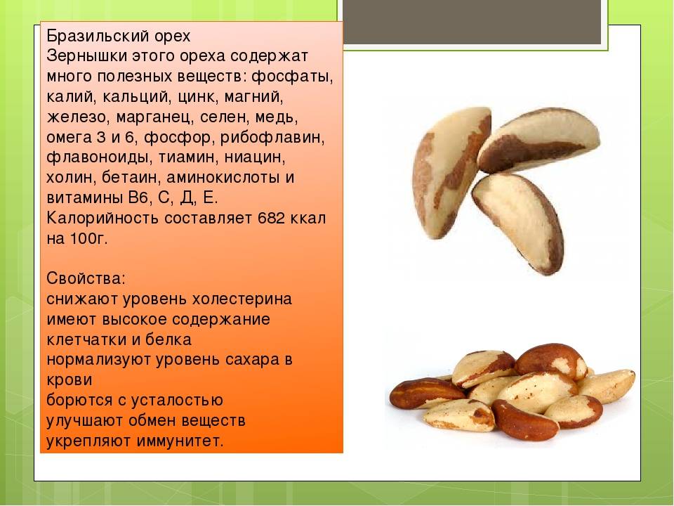 Польза бразильского ореха — свойства, особенности употребления и опасность передозировки (75 фото + видео)