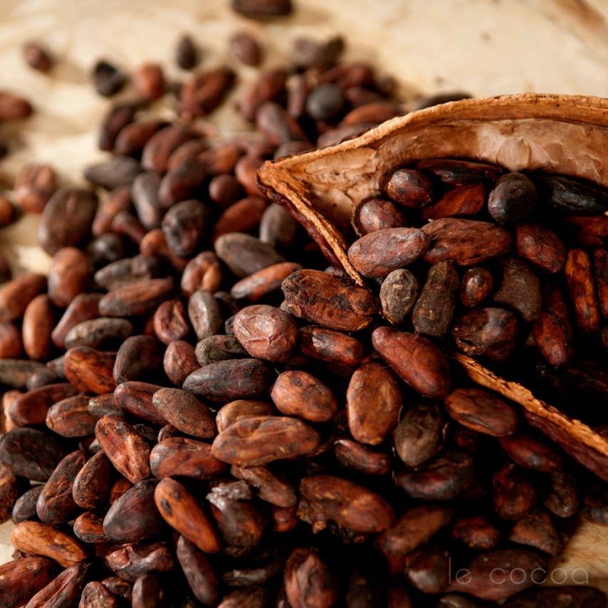 Какао – польза и вред для здоровья!