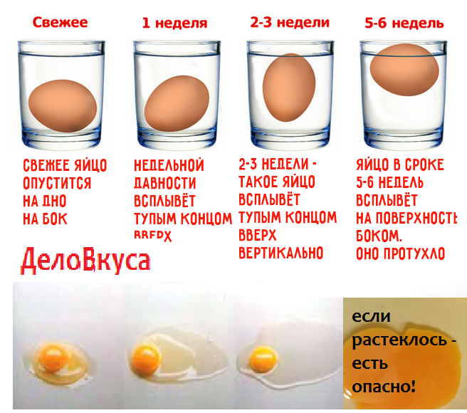 Как определить тухлое яйцо — в воде и другими методами